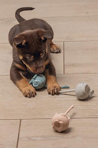 Actual product image Beeztees Mini Tails (Ball toy dog)
