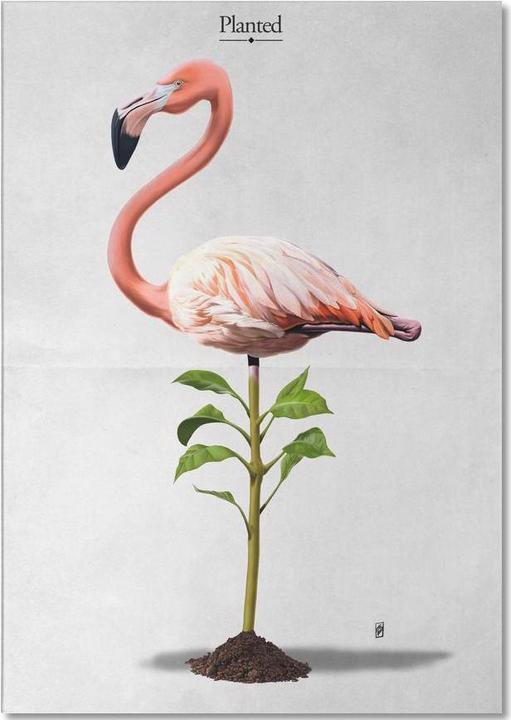Immagine prodotto Juniqe Planted (titolato) - Fantasia e creature miste (A5, Punteggiato)