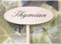 Gewürzstecker Thymian 20 cm (20 cm)