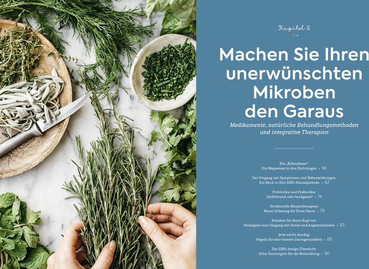 Produktbild SIBO - Wenn der Darm in Aufruhr ist (Deutsch, Phoebe Lapine, 2021)