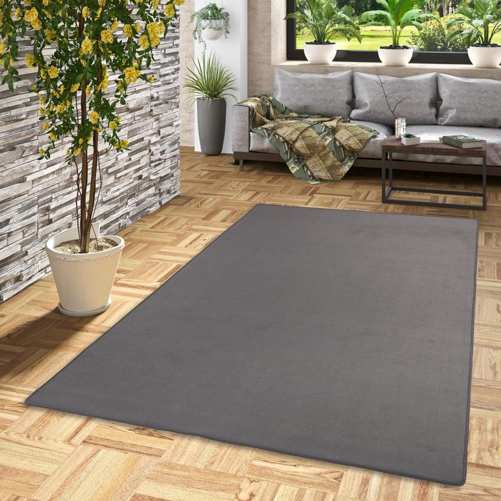 Produktbild Snapstyle Basic Velours Teppich Carla (100 x 200 cm)