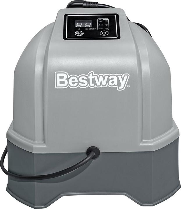 Actual product image Bestway Hydrogenic Saltwater Chlorinator