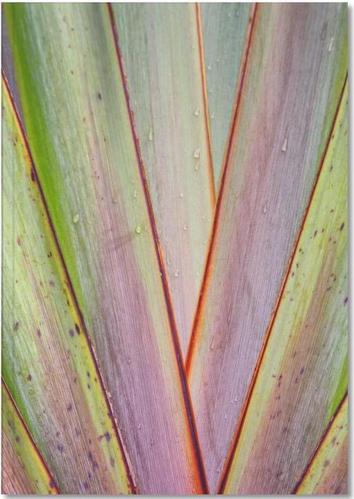 Image du produit Juniqe Flax Pattern - Feuilles & Plantes (A4, Pointillés)
