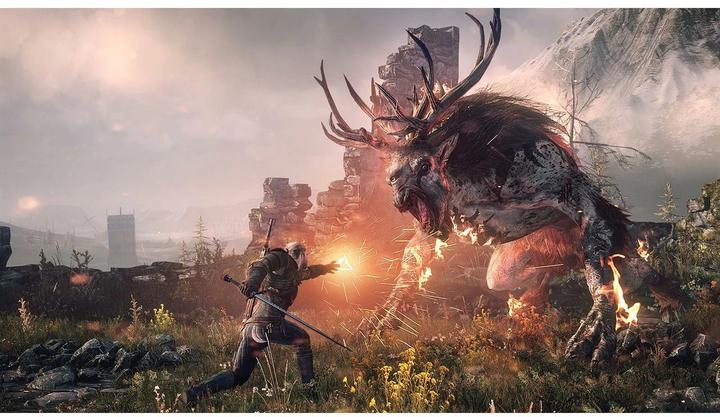 Image du produit Bandai Namco The Witcher 3: Wild Hunt (Switch, DE)