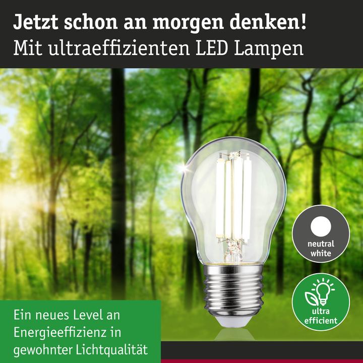 Immagine prodotto Paulmann Tropfen Eco-Line (E27, 2.50 W, 525 lm, 1 x, A)