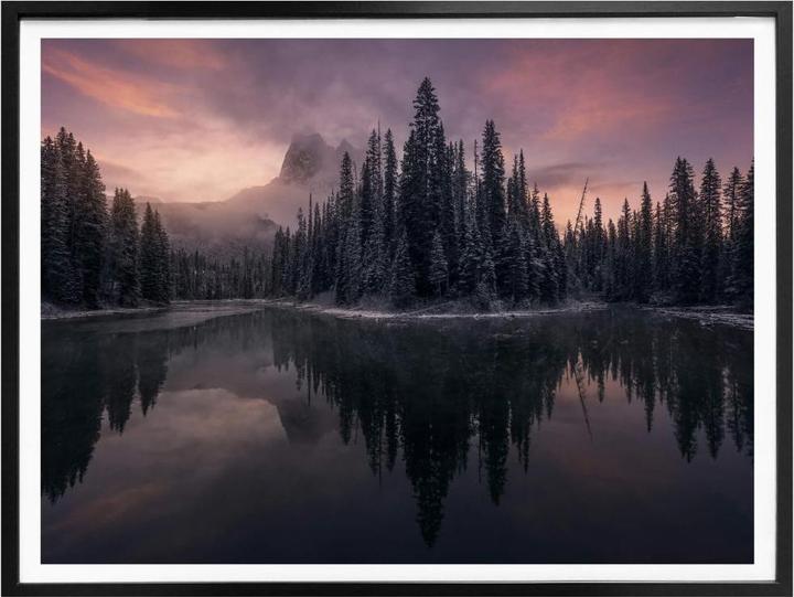 Produktbild Trenddeko Fairytale Forest (100 x 80 cm)