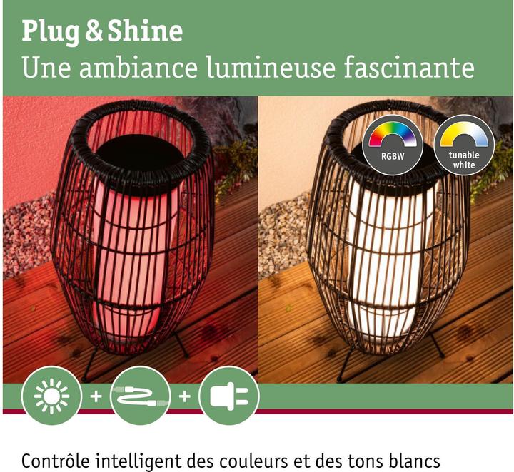 Actual product image Paulmann Outdoor Plug & Shine Basket (260 lm, IP44)