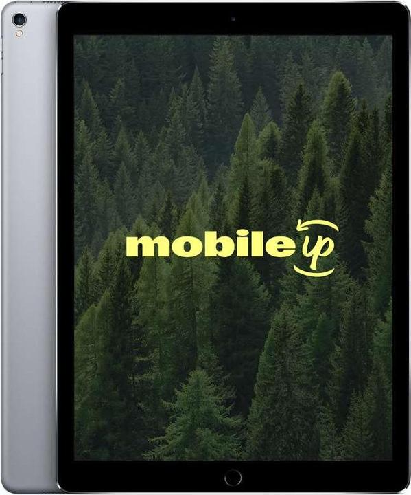 Image du produit mobileup 12,9" Apple iPad Pro 2017 (2e génération) (12.90", 256 Go, Gris sidéral, A / Comme neuf)