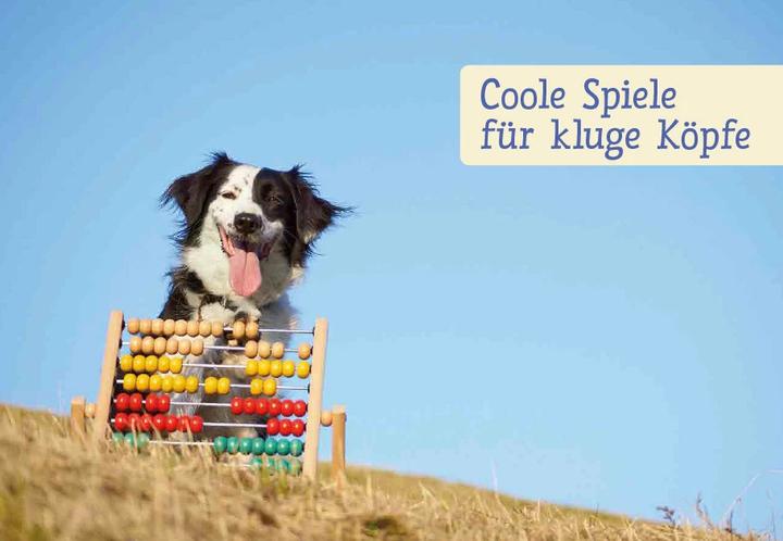 Actual product image Spiele und Action für ausgeglichene Hütehunde (German, Marion Albers, 2023)