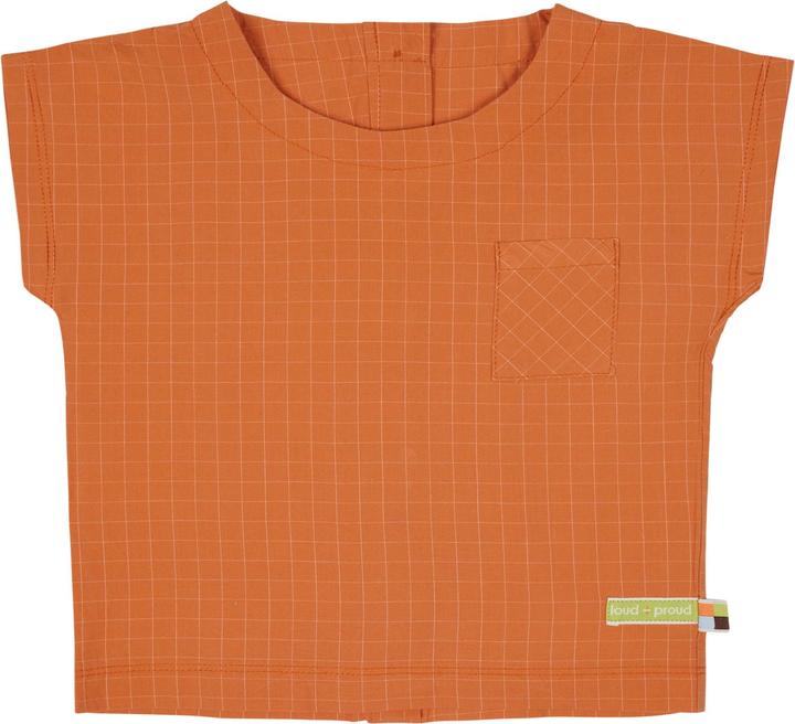Actual product image loud + proud Fine check blouse (86)