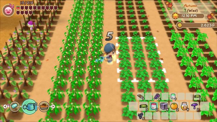 Actual product image Marvelous Story of Seasons : Friends of Mineral Town (Switch, FR)