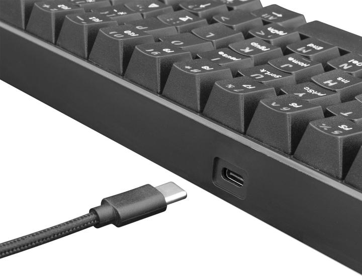 Actual product image White Shark Mechanical Gaming Keyboard Shinobi, OUTEMU RED Switch, Full Rainbow RGB LED Backlight, U (US, Cable)