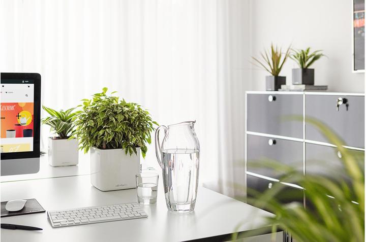 Image du produit Lechuza Cube Glossy 14 (14 cm)
