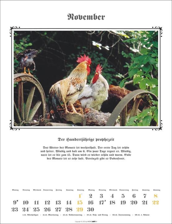 Actual product image Der Hundertjährige Kalender 2026 (30 x 39 cm, German)