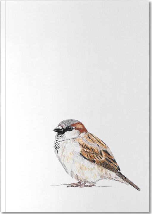 Image du produit Juniqe Spatz - Oiseaux (A4, Blanc)
