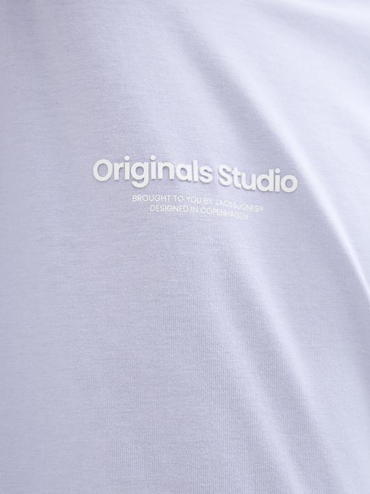 Produktbild Jack & Jones Jorvesterbro Tee Ss Crew Neck Noos Jnr (164)