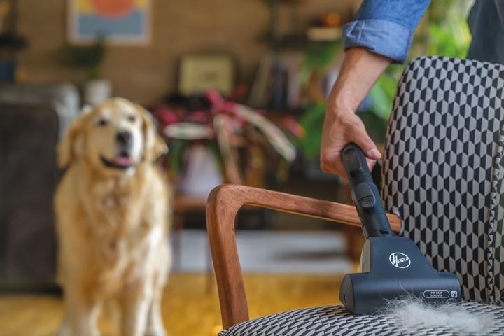 Actual product image Hoover HE520PET - Stofzuiger met zak Pet - 3,5 l