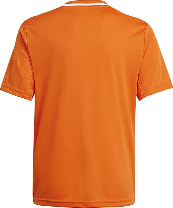 Actual product image adidas Campeon 25 Jersey Kids (116)