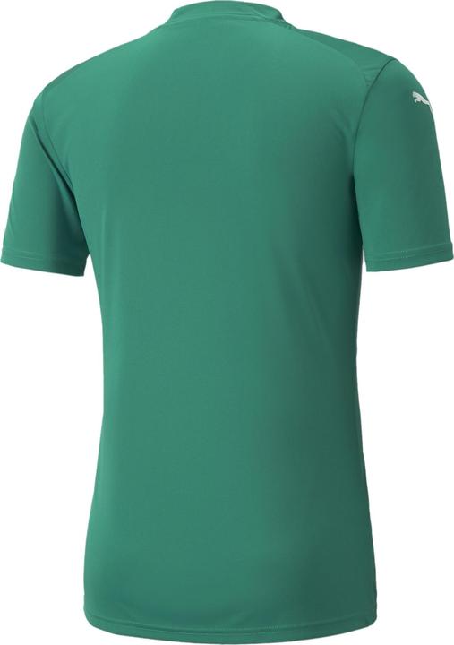 Actual product image Puma teamGLORY Jersey (S)