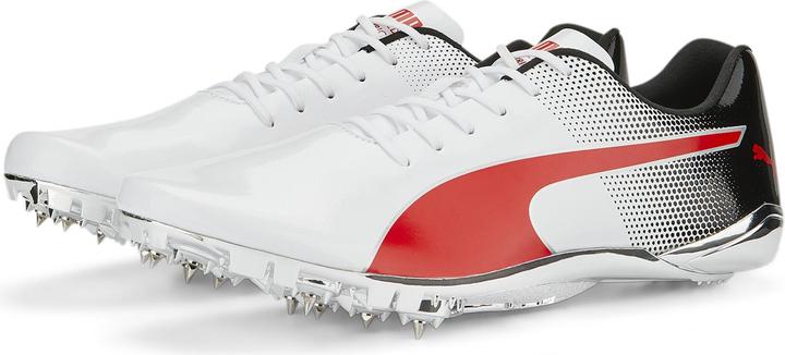 Productafbeelding Puma evoSPEED Electric 13 (44.5)