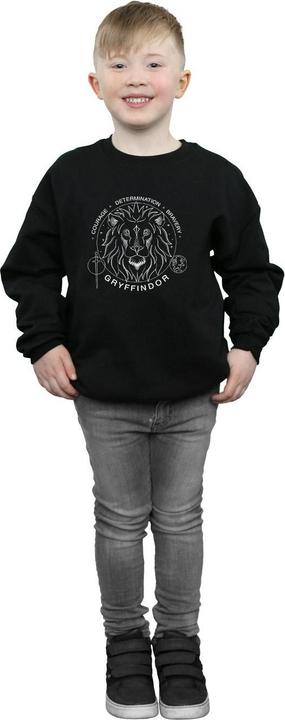 Produktbild Gryffindor Seal Sweatshirt Jungen (128)