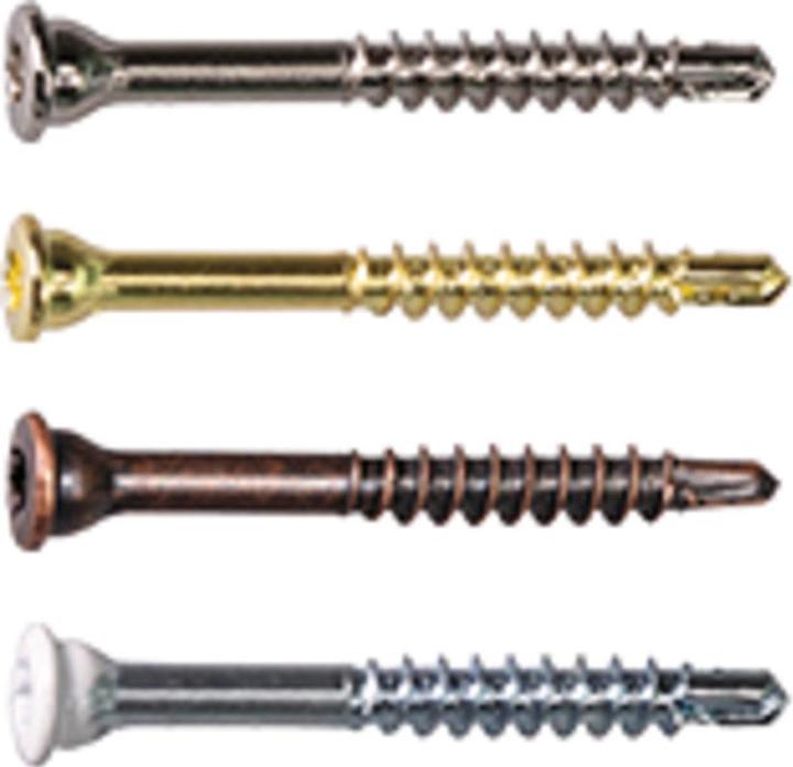 Actual product image Profix Skirting screws (500 Screws per piece)