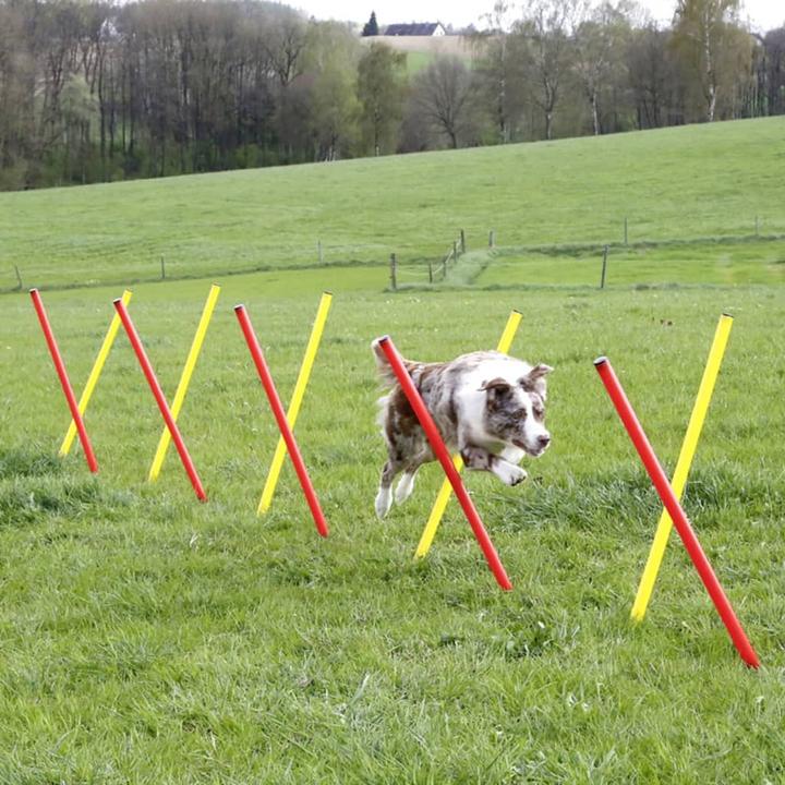 Image du produit Kerbl Kit complet (Taille unique, Agility)