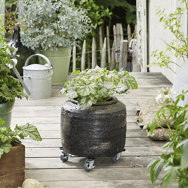 Immagine prodotto Wagner System Rullo per piante Wagner 22 x 22 x 5,5 cm in metallo nero