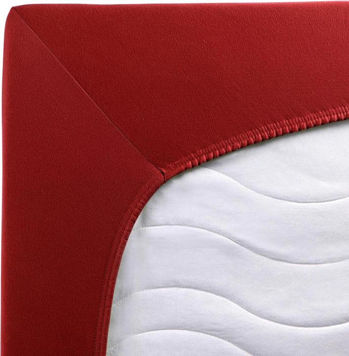Actual product image Traumschlaf Premium Interlock (160x200 cm, 140x200 cm, 150x200 cm)
