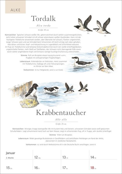 Immagine prodotto Harenberg KOSMOS Was fliegt denn da? Wochenplaner 2026 - Der Kalender zum KOSMOS-Naturführe (Tedesco)
