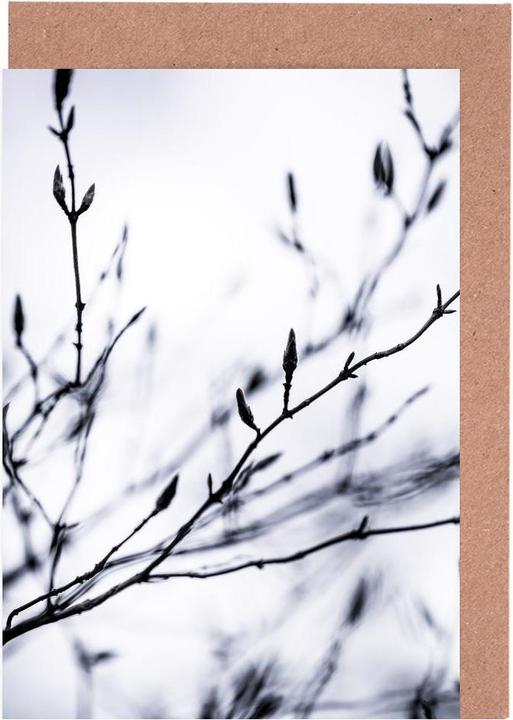Produktbild Juniqe Winter Branches 2 - Blätter & Pflanzen (5 Stk.)