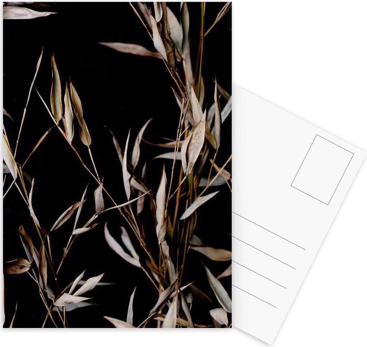 Actual product image Juniqe Last Summer 4 - Leaves & Plants (3 pcs.)