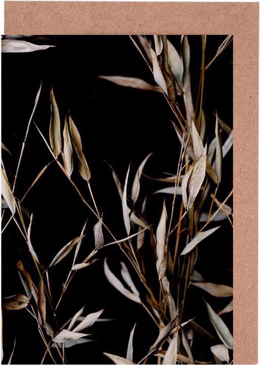 Actual product image Juniqe Last Summer 4 - Leaves & Plants (10 pcs.)