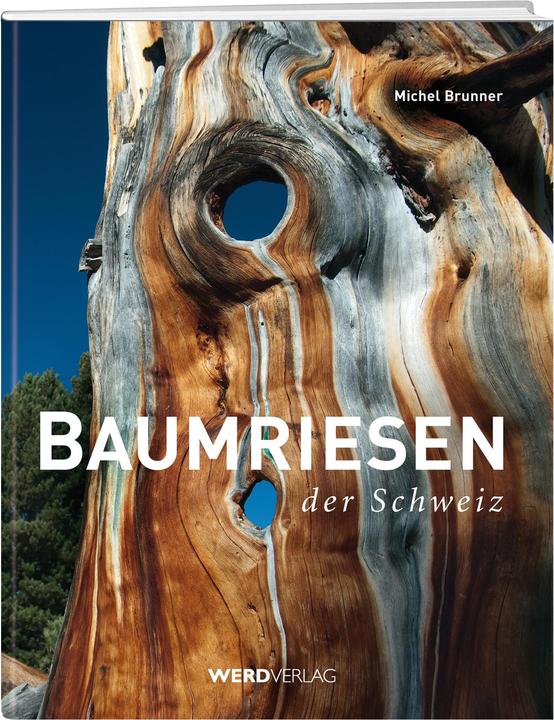 Image du produit Baumriesen der Schweiz (Allemand, Michel Brunner, 2014)