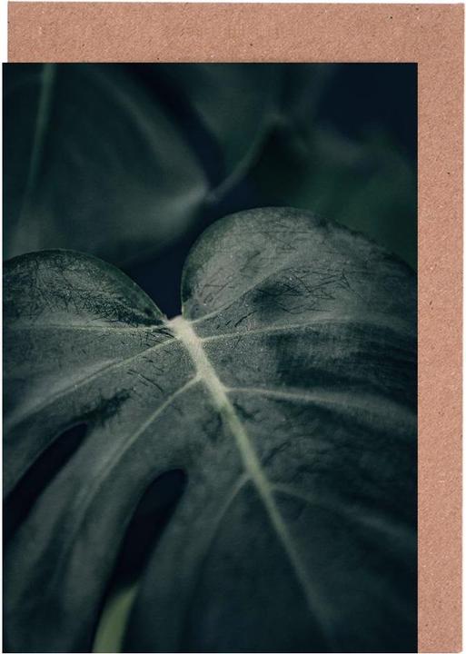 Immagine prodotto Juniqe Moody Monstera 2 - Foglie e piante (5 pz.)