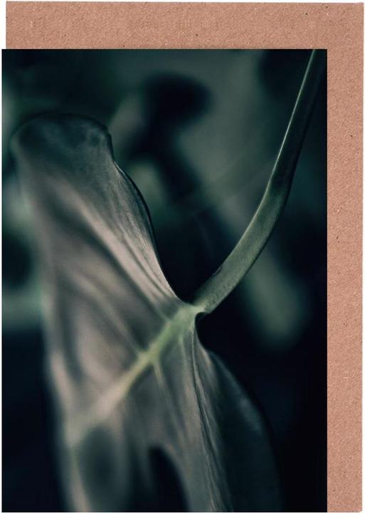 Image du produit Juniqe Moody Monstera 4 - Feuilles & Plantes (5 pcs)