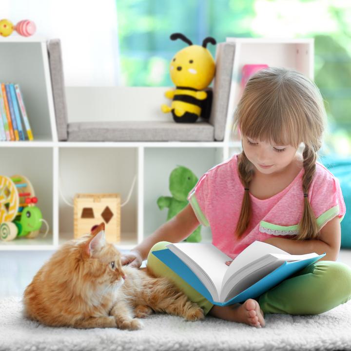 Actual product image Relaxdays Bücherregal mit Sitzkissen Plain en