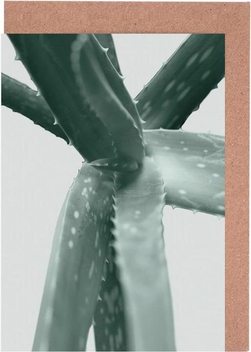 Immagine prodotto Juniqe Agave - Cactus (5 pz.)