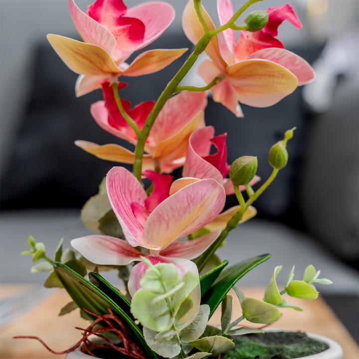 Produktbild NTK-Collection Kunstblume Orchidee pink in Schale (28 cm)