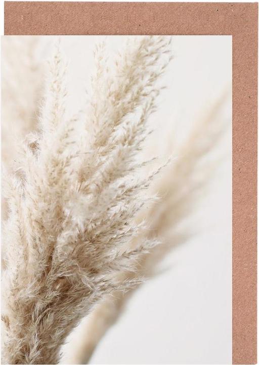 Produktbild Juniqe Pampas-Gras (10 Stk.)