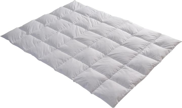Immagine prodotto Feelings by billerbeck Lara (800 g, 160 x 210 cm)
