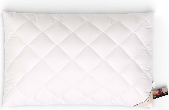 Produktbild Erzstef Allergiker-Chemnitz (65 x 100 cm)