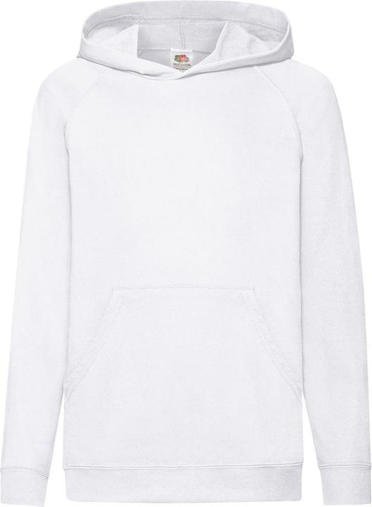 Fruit of the Loom Kapuzen Pullover