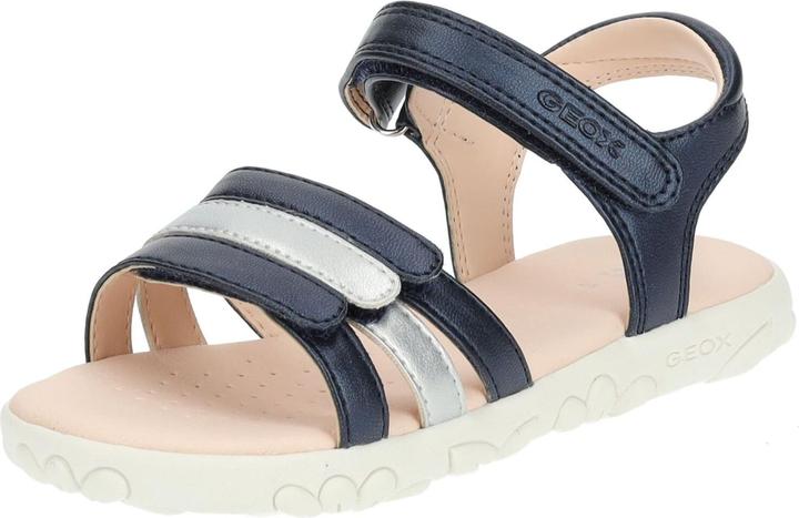 Blue/Silver