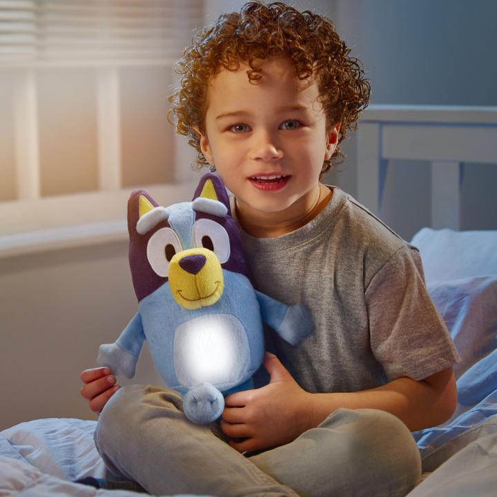 Actual product image Moose Bluey