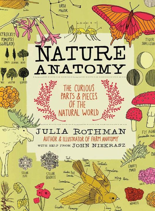 Produktbild Nature Anatomy : The Curious Parts and Pieces of the Natural (Julia Rothman, Englisch)