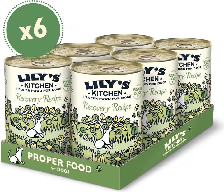 Actual product image Lily's Kitchen Recovery Recipe (Adult, 1 pcs., 400 g)