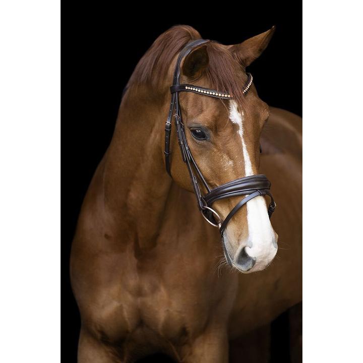 Produktbild Imperial Riding Fria