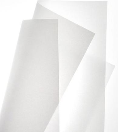 Immagine prodotto Canson Calcolo della data in grigio (70 g/m², 40 x)