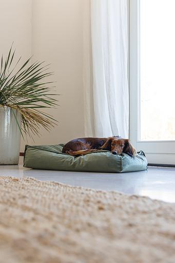 Productafbeelding Designed by Lotte Nalino (Hond)